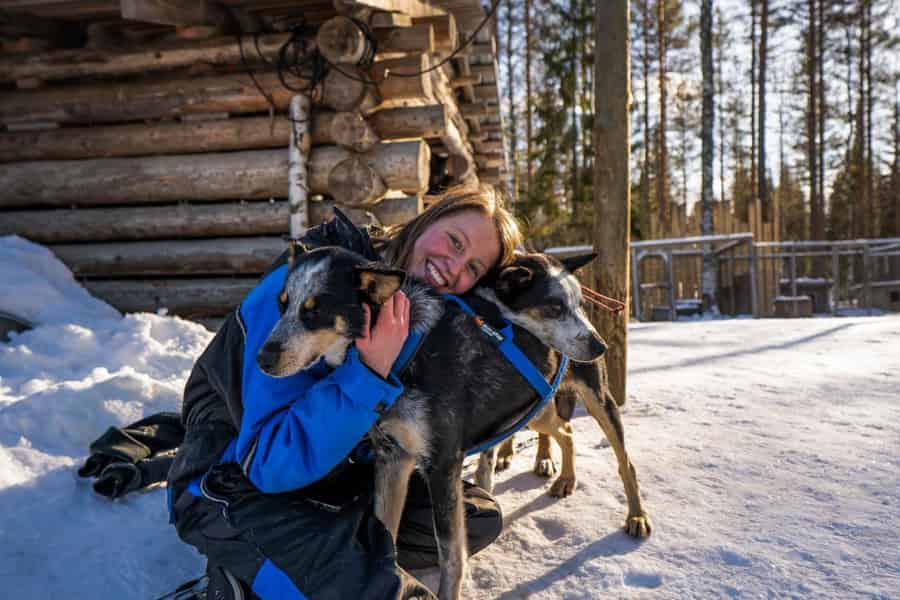 Rovaniemi: Husky Safari & Lagerfeuer BBQ - 6-10 km Selbstfahrer. Foto: GetYourGuide