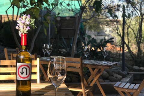 Wycieczka do Valle de Guadalupe: degustacja win w cenie