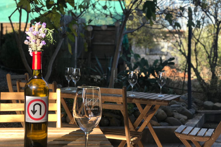 Visite de la vallée de Guadalupe : dégustations de vins inclusesCircuit dans la vallée de Guadalupe : dégustations de vins incluses