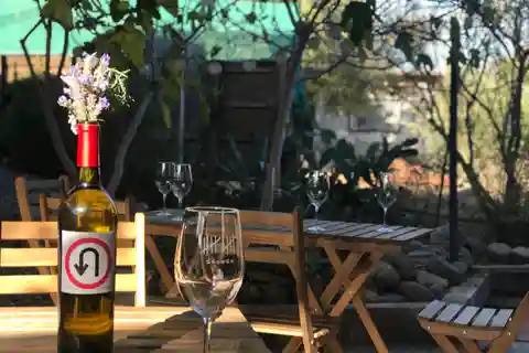 Valle de Guadalupe Tour: Wine Tastings Included