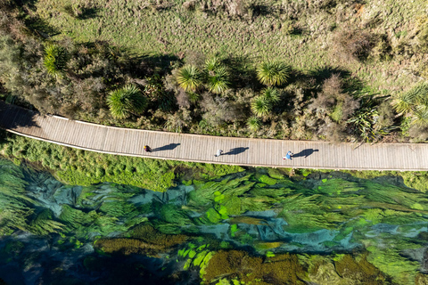 Private Day Tour: Blue Springs & Hobbiton Movie Set