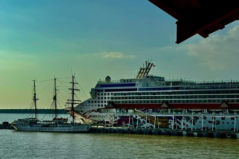 Jakarta: Private Car Charter with Professional Driver by Van