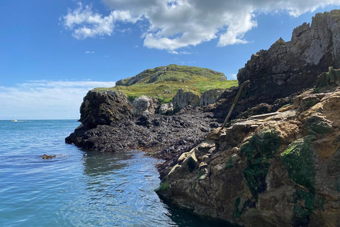 Dublino: Tour in barca della Baia di Dublino e dell&#039;Occhio d&#039;Irlanda