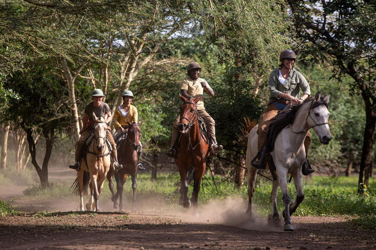 Arusha: Paseo a caballo y puesta de sol