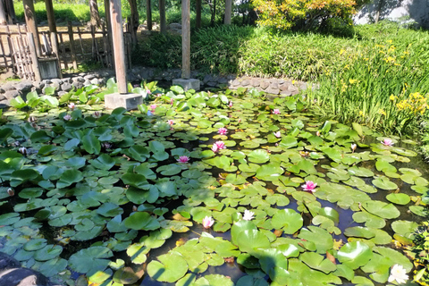 Tokyo: Ginza to Shibamata Walking Tour with Guide