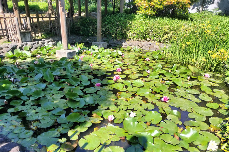 Tokyo: Ginza to Shibamata Walking Tour with Guide