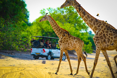 Zambezi National Park: Extended Game Drive With Snacks