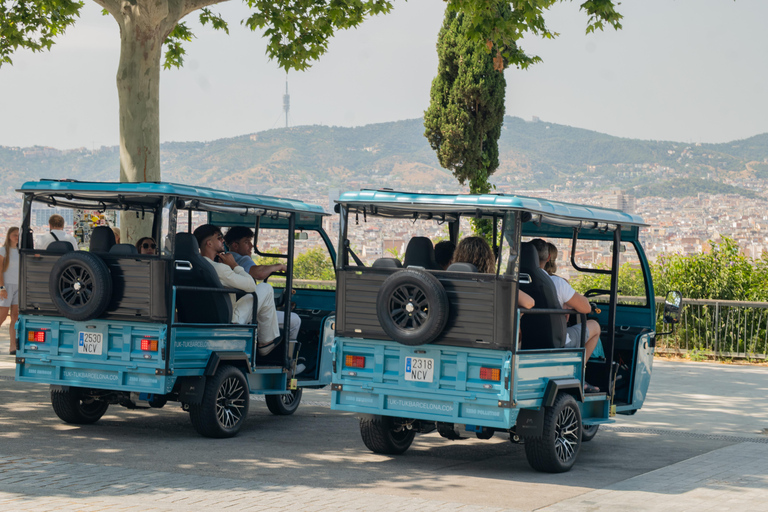 Barcelona: City Highlights Private Tuk-Tuk Tour 1,5H Barcelona City & Beach Private Tuk-Tuk Tour