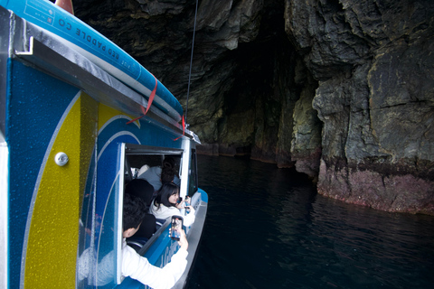 Tour del Buco nella Roccia e crociera nella Baia delle Isole2,5 ore - Tour del Buco nella Roccia