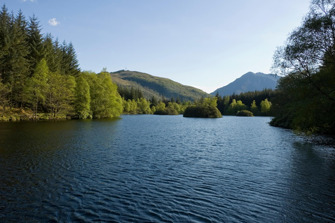From Edinburgh: Private Highlands & Loch Ness Day Tour