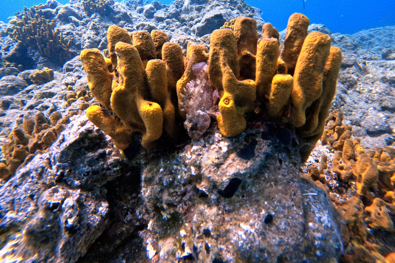 Scuba Diving in the Volcanic Caldera/shorelines of Santorini