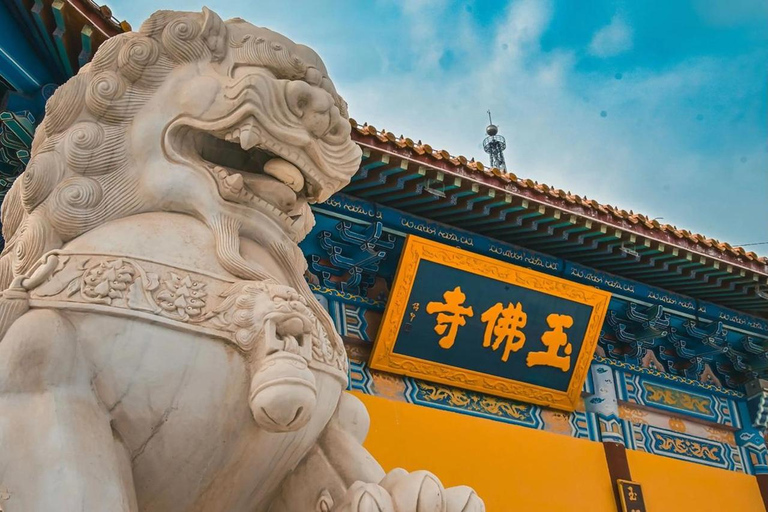 Shanghai: Full-Day Customized Tour with Private Transfer.