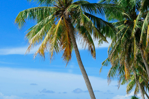 圣马丁岛：日落骑马和篝火之旅