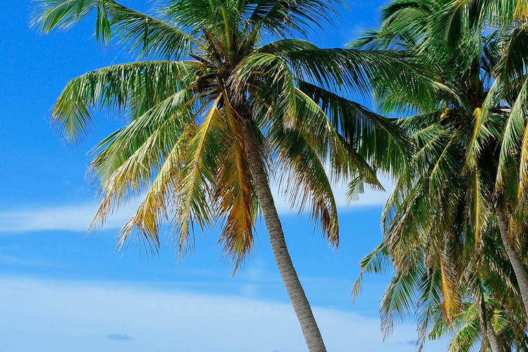 圣马丁岛：日落骑马和篝火之旅