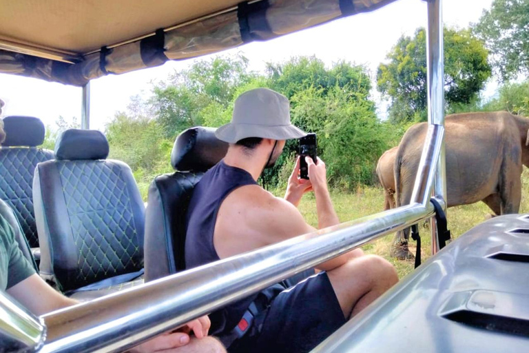 Safari en elefante Udawalawe con traslado desde Galle