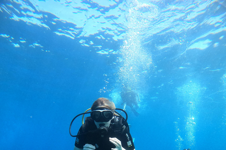 Santorini: Scuba Diving Experience in Caldera for Beginners Santorini: Scuba Diving Experience in the Volcanic Caldera