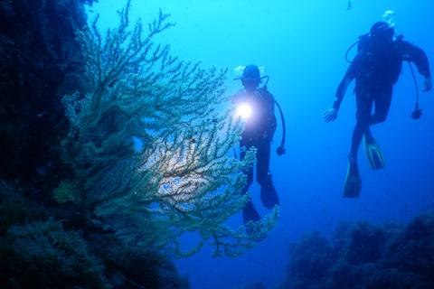 Pianottoli-Caldarello: Your first dive in the Mediterranean Pianottoli-Caldarello: Introductory Dive in the Mediterranean