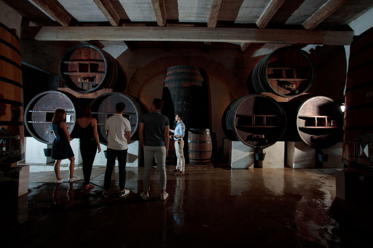 Domaine de Soustres, Montady: visita y cataDomaine de Soustres, Montady: visita y degustación