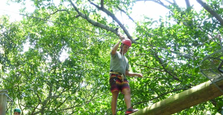 Zip Line Rio Rio de Janeiro: Zip Lining and Canopy Tree Tour | GetYourGuide