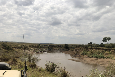 Viaggio di un giorno da Nairobi a Maasai Mara - AWNairobi: Escursione di un giorno nella Riserva Nazionale di Maasai Mara - Privato