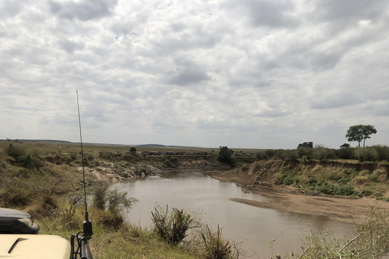 Viaggio di un giorno da Nairobi a Maasai Mara - AWNairobi: Escursione di un giorno nella Riserva Nazionale di Maasai Mara - Privato