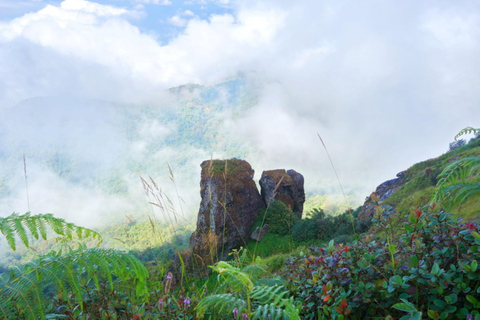 Parco nazionale di Doi Inthanon e sentiero naturalistico di Kew Mae Pan