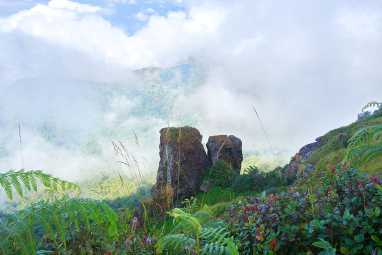 Park Narodowy Doi Inthanon i szlak turystyczny Kew Mae Pan Nature Trail