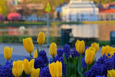 Private Walking Tour- Bergen Classics