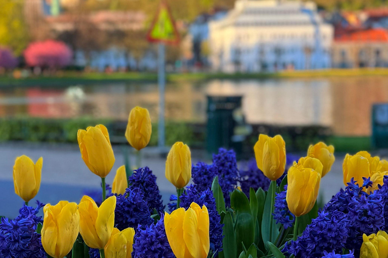 Private Walking Tour- Bergen Classics