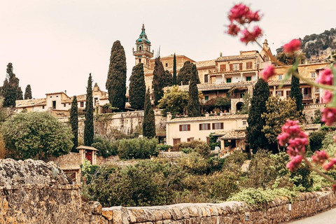 Mallorca: Puerto de Sóller and Valldemossa Morning Trip