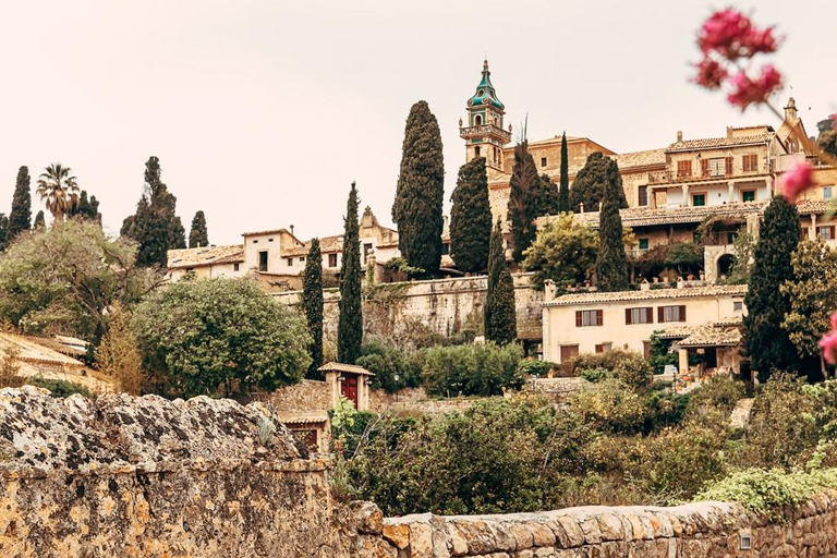 Mallorca: Puerto de Sóller and Valldemossa Morning Trip