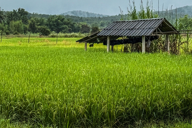 Chiang Mai: Sticky Waterfalls, Cave, and Lunch at Village Join-in With Lunch