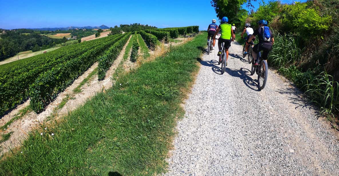 Afbeelding 9 van Monferrato: begeleide tour met MTB E-Bike om de wijngaarden te ontdekken