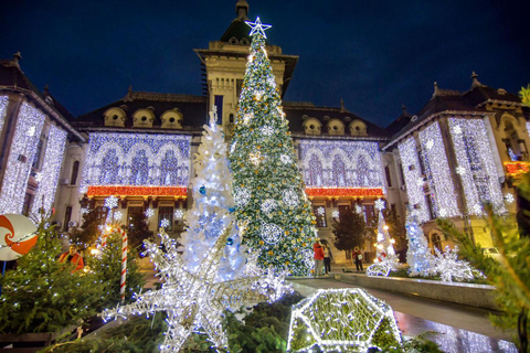 1-Day Tour from Bucharest to Craiova Christmas Market