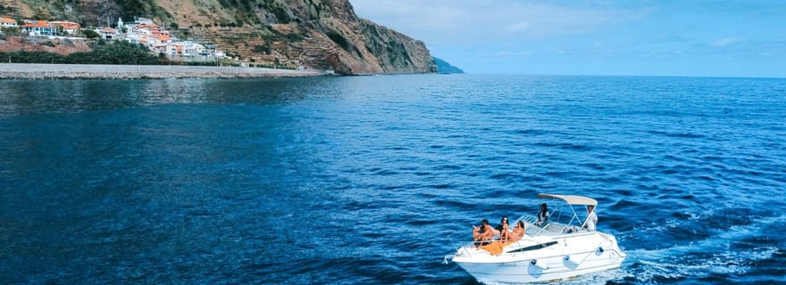 Madère : Croisière d'observation des baleines et des dauphins en privé