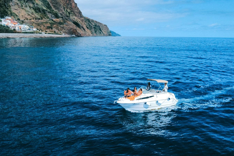 Madeira: Whale and Dolphin Watching Private Cruise Gringo Yacht Whale and Dolphin Watching Private Charter