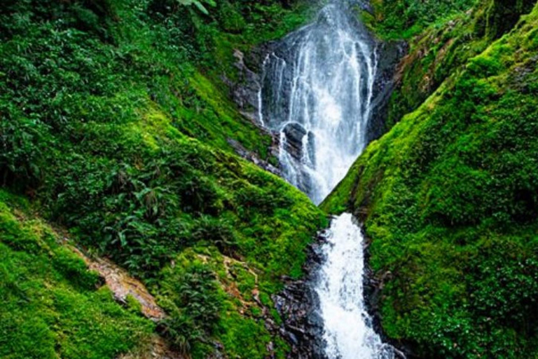 2 Day Nyungwe Canopy Walk and Zipline