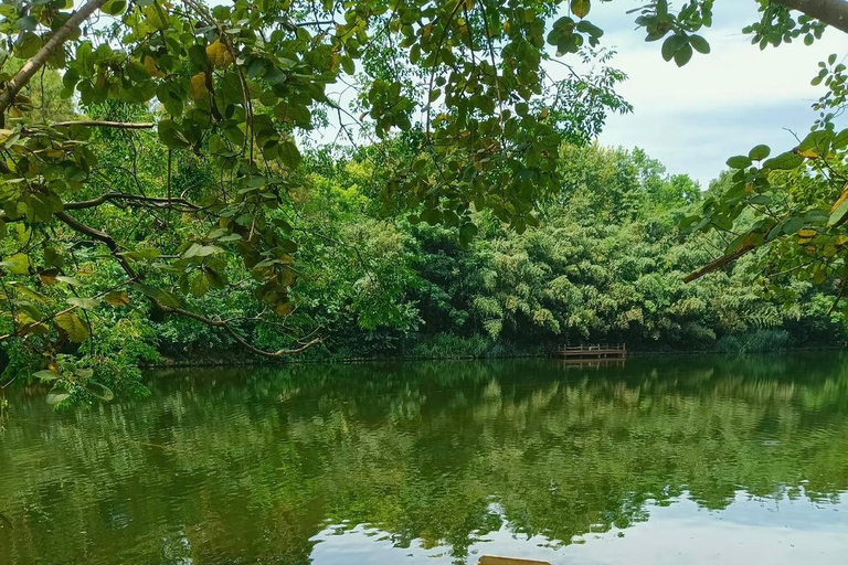 上海至崇明：生态·文化·体验之旅西班牙语、法语或俄语指南