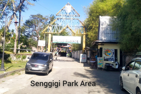 Lombok: Pick-up Port/Airport +Waterfall Tour+ Drop off Hotel Bangsal Port + Waterfall Tour + Drop-off Kuta Lombok Area