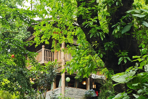 Chongqing: tour del monte Jinyun, del museo e della vecchia stradaGuida per altre lingue