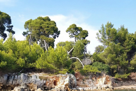 Cannes: Kayak excursions and discovering the treasures of the Lérins Islands Lérins Islands Kayak Adventure: Wild Nature and Hidden Treasures SUNSET