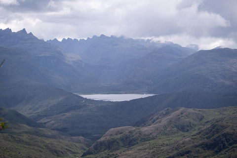 Private sight Tour Chingaza Paramo from Bogota, Andean BearPrivate sighting Tour in Chingaza Paramo, Andean Bear