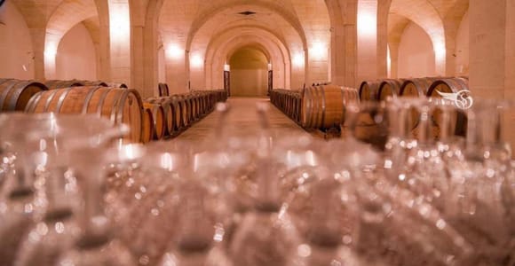 Near Lecce: Oil Mill Tour, Organic Wine & Olive Oil Tasting