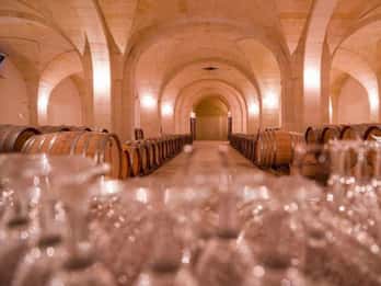 Verkostung von Bio-Weinen und Olivenöl in der Nähe von Lecce