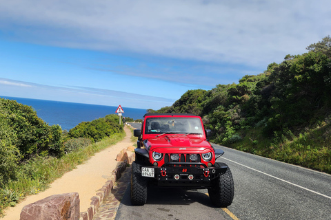 Cape Town: Cape Peninsula Jeep Safari Adventure