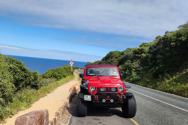 Cape Town: Cape Peninsula Jeep Safari Adventure