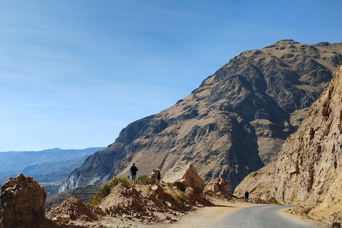 Exkursion: Colca Canyon mit Transfer nach Puno.