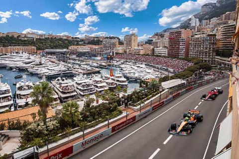 Monaco, Eze, Nice, and Cannes! Luxury and comfort in an electric car!