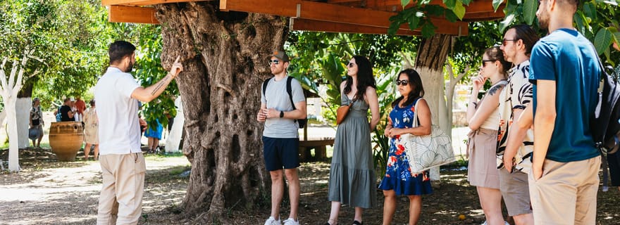 Au départ de La Canée : dégustation de vin et d'huile d'olive avec collations