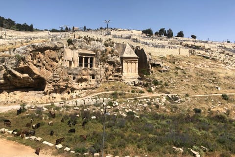 Mount Tabor, Beit She'an and Yardenit Baptismal Site Tour